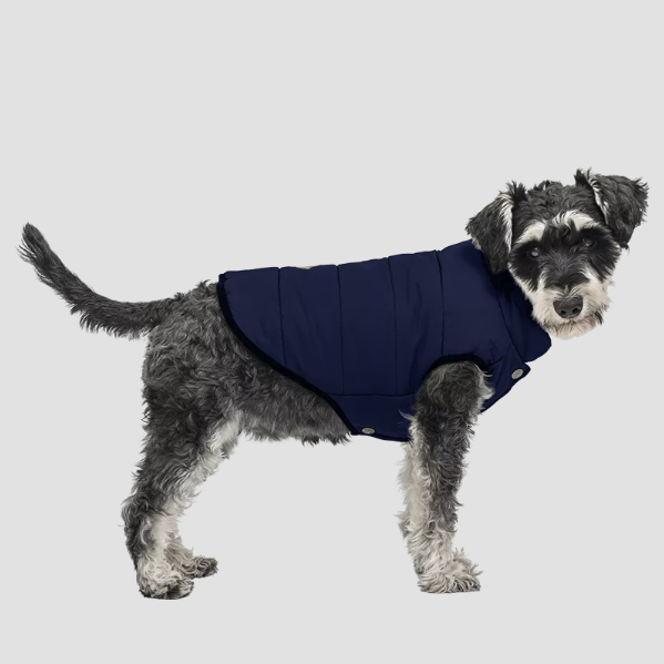 Gilet d'hiver pour chien bleu marine, coupe confortable, coupe-vent, imperméable, conçu pour la chaleur et la protection par temps froid.